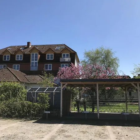 Immenbarg, Sternsucher